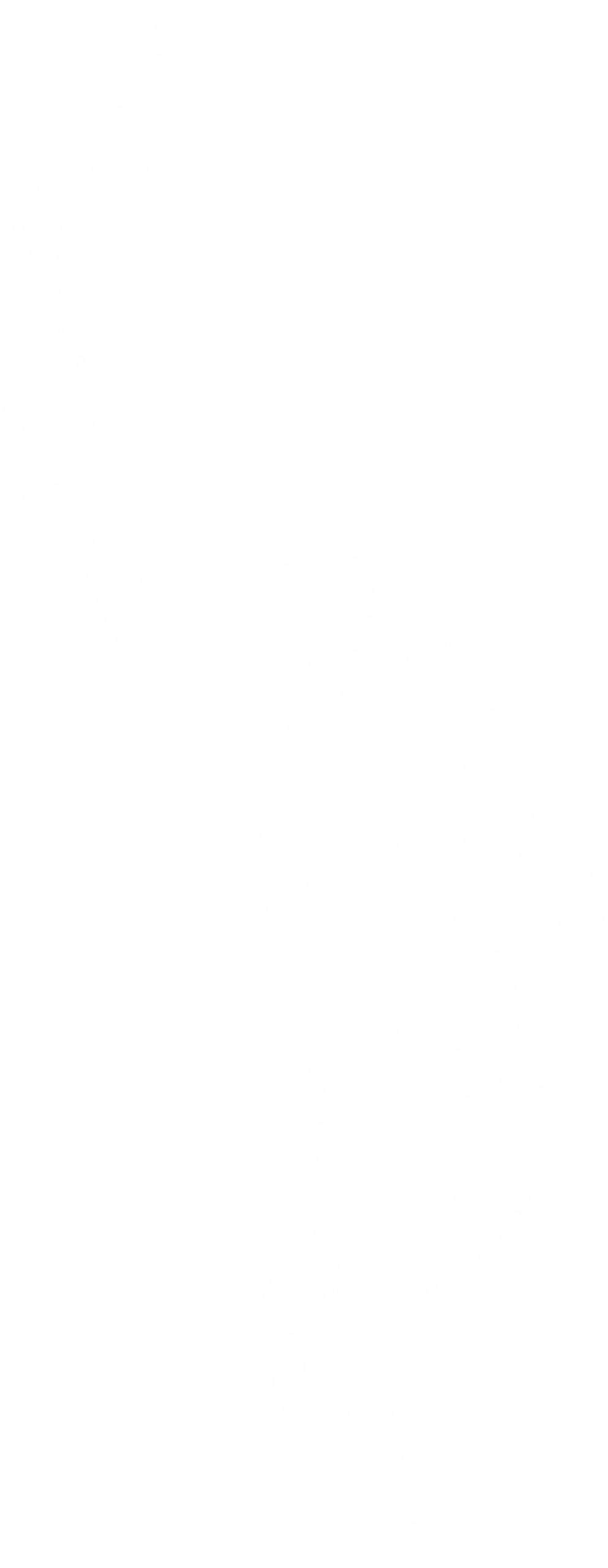 Hero decoration image